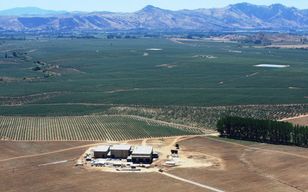 Planta de Aceites Almazara